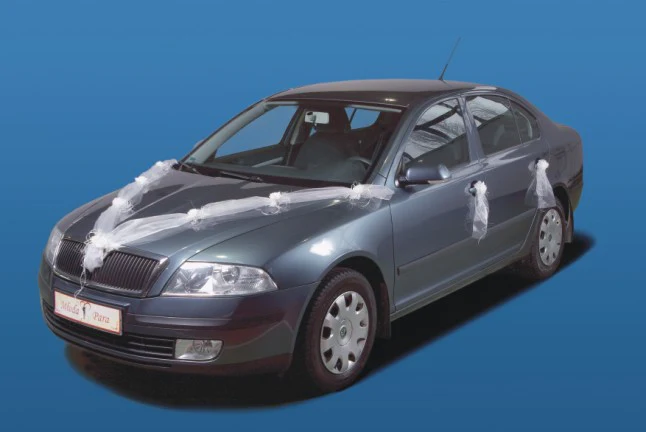 Autonkoriste, 2 kpl organzaköynnöstä satiinikukkasin - Image 3