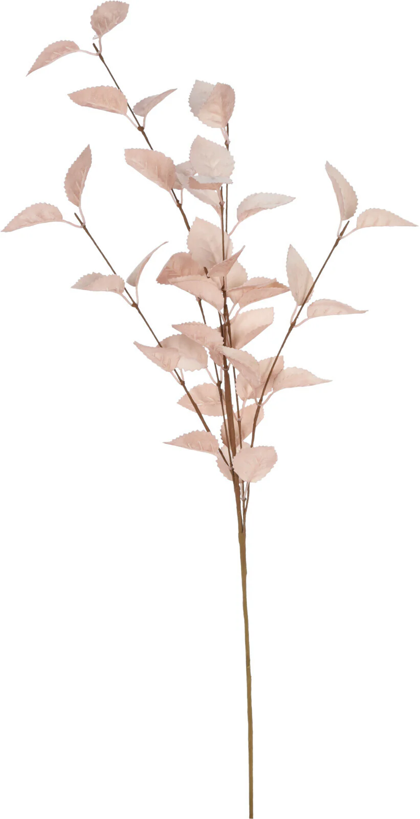 Pikkukuva 2