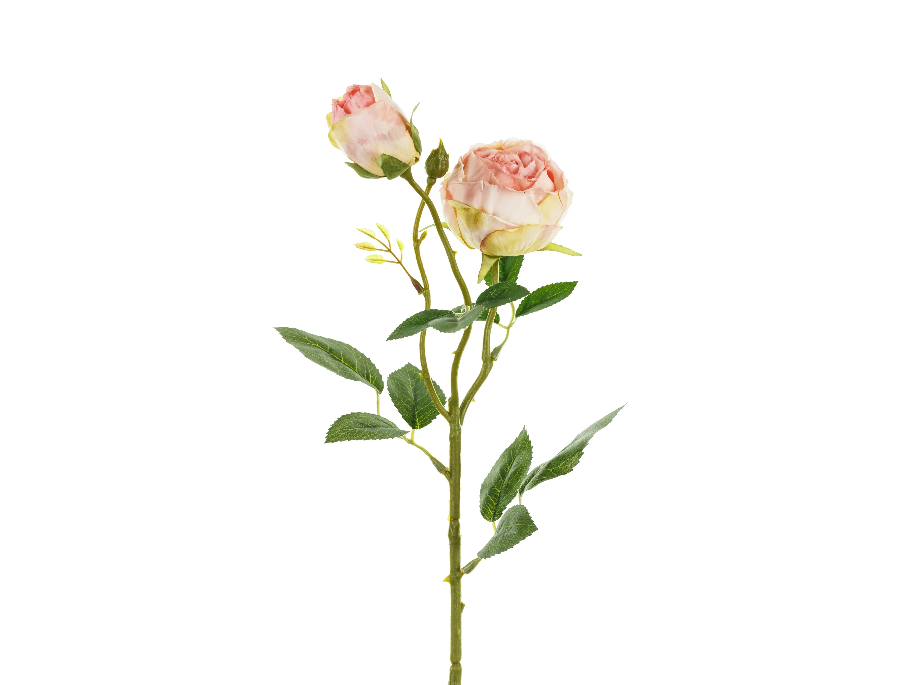 Pikkukuva 1