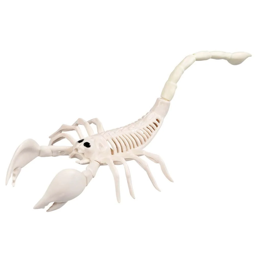 Skorpioni luuranko 31 cm