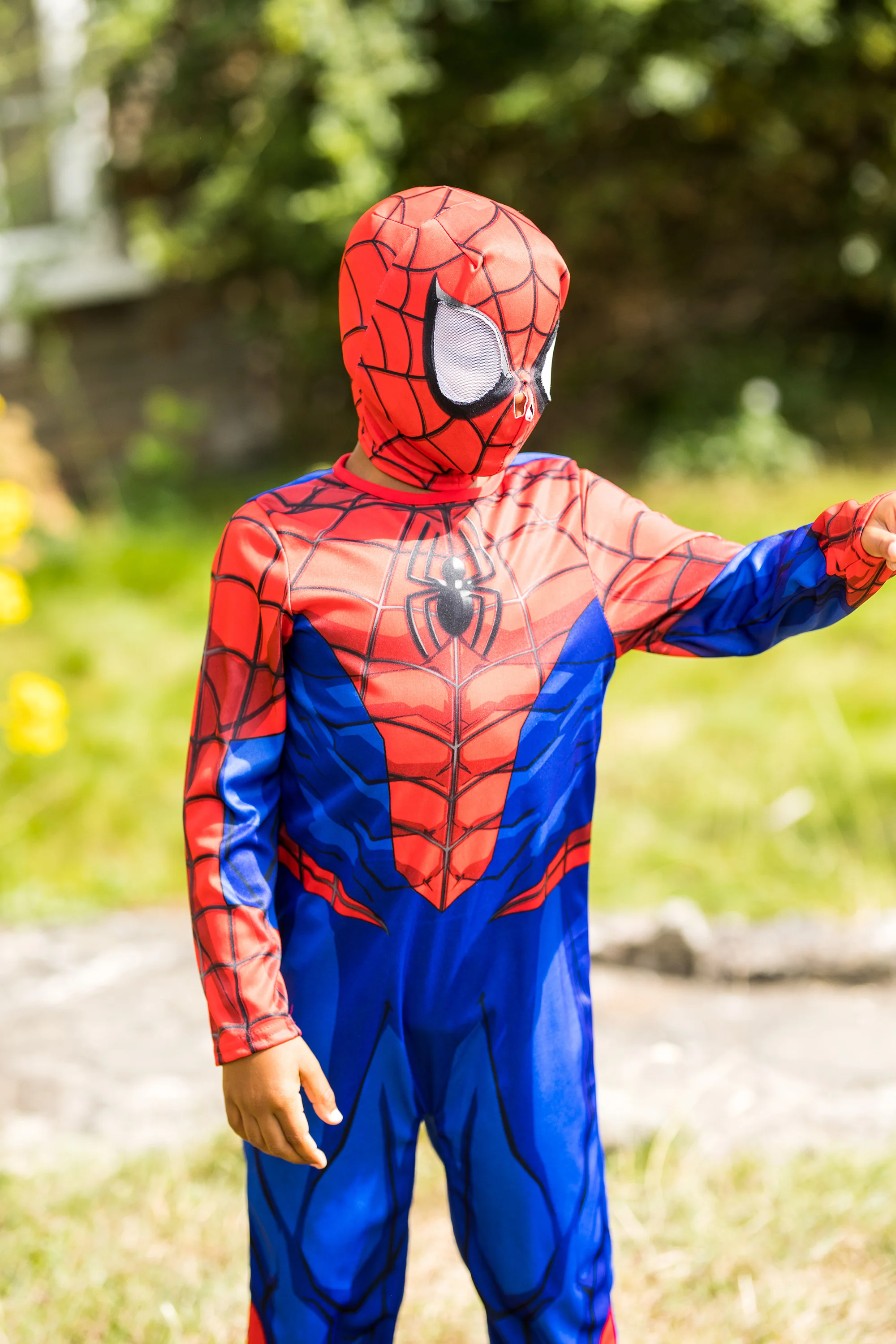 Spider-Man asu - Image 4