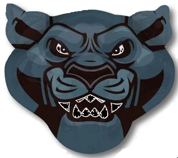 Team Panthers muotofoliopallo